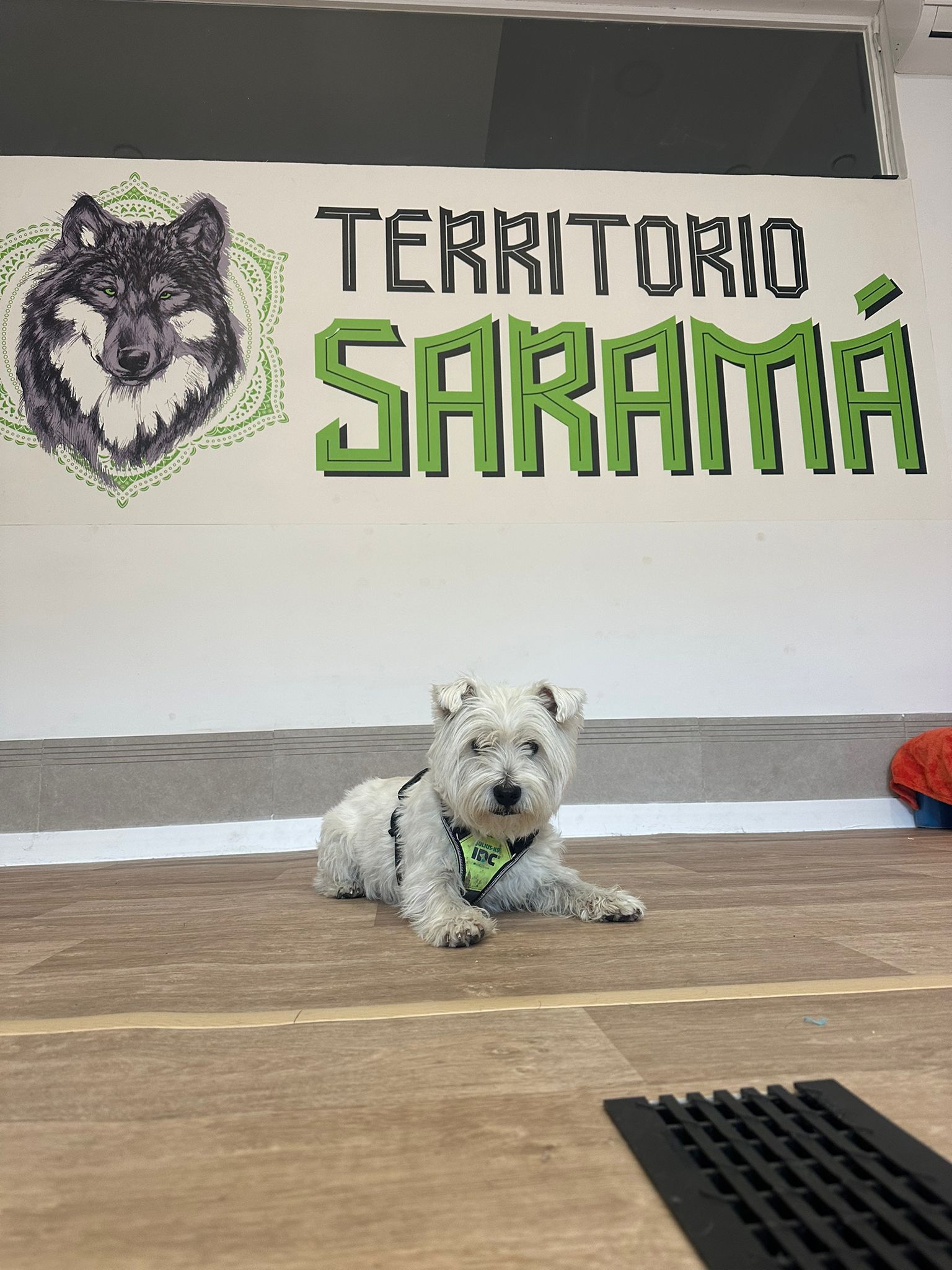 Perro Guarderia Territorio Sarama